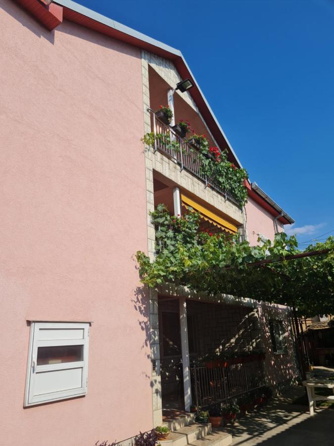 Sakota Family House Lägenhet Sremska Kamenica Exteriör bild